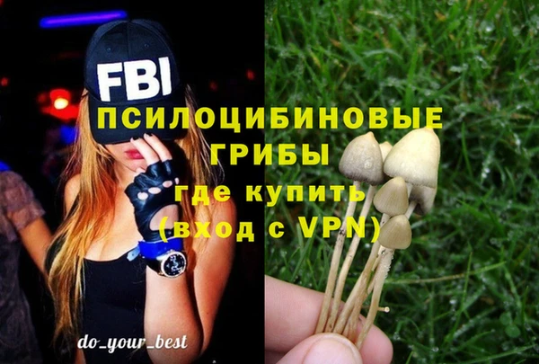 СК Арсеньев
