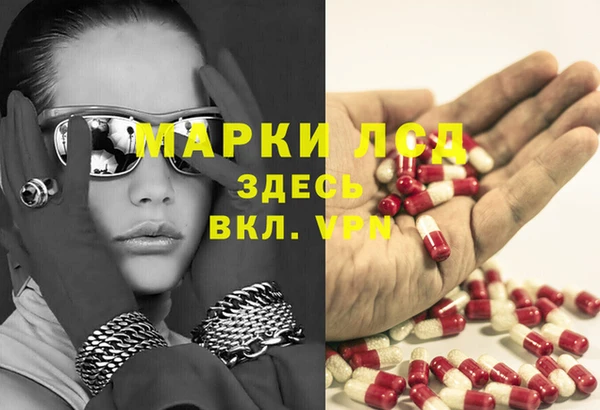 СК Арсеньев