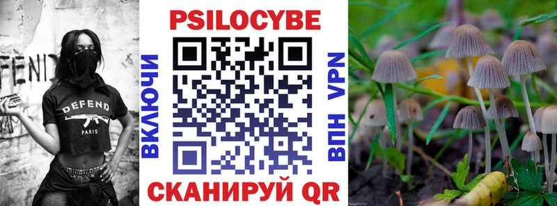 купить  цена  Камышлов  Галлюциногенные грибы GOLDEN TEACHER 