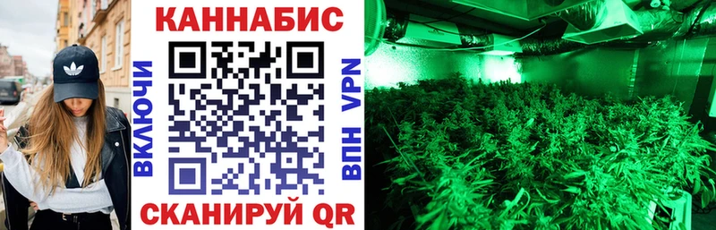 наркотики  Камышлов  Бошки Шишки Bruce Banner 